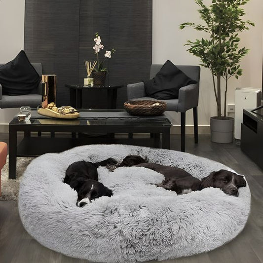 8 raisons pour lesquelles des milliers de personnes à travers le monde font confiance à ce lit pour chien