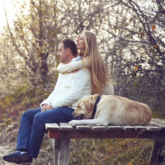 chiens pour les couples