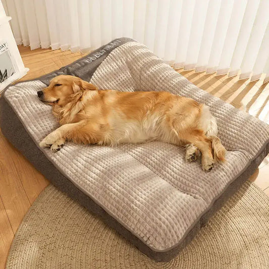 8 raisons pour lesquelles les propriétaires de chiens ne jurent que par ce coussin