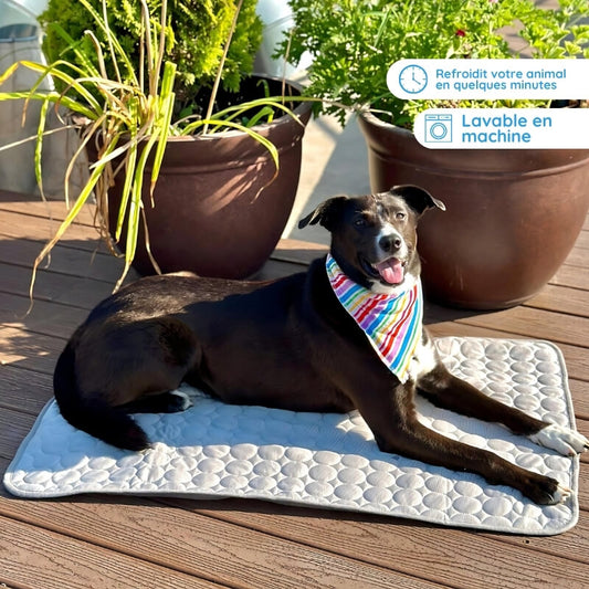 MrFluffyFriend - Couverture rafraîchissante pour chien