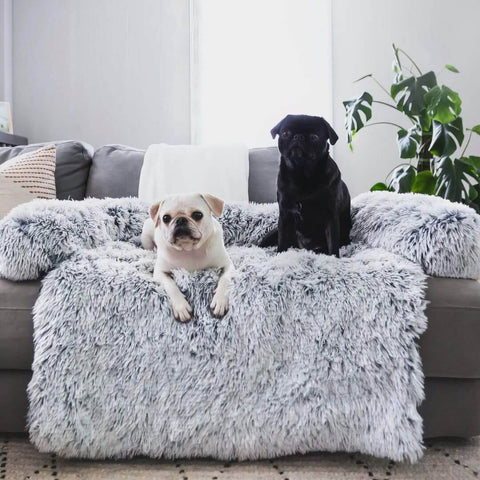 Gardez vos meubles propres et votre animal de compagnie libre de toute anxiété !