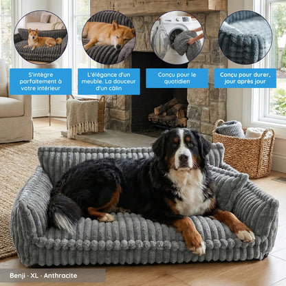 MrFluffyFriend® - Canapé Design Pour Chien