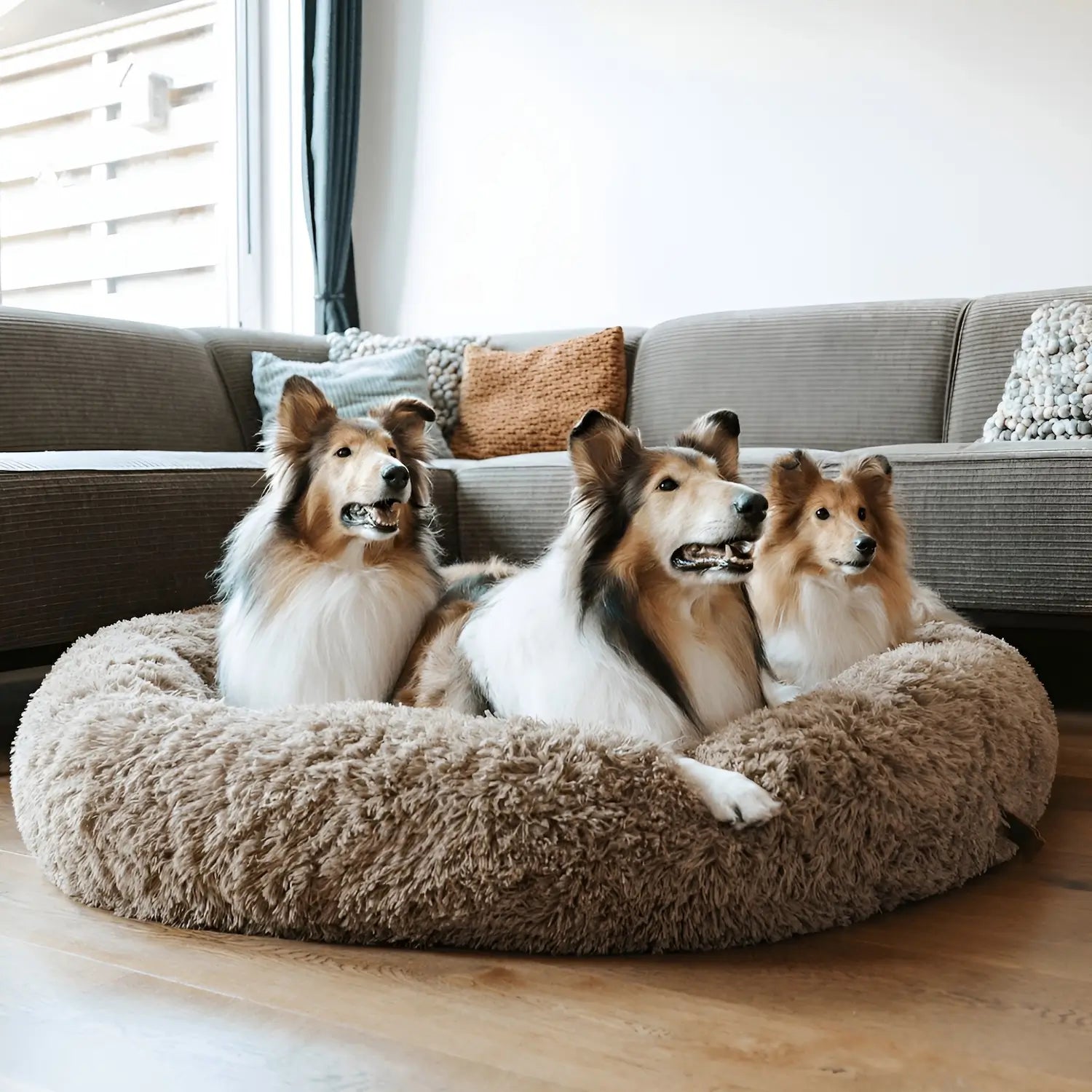 MrFluffyFriend - Le Meilleur Coussin Pour Différentes Races De Chiens
