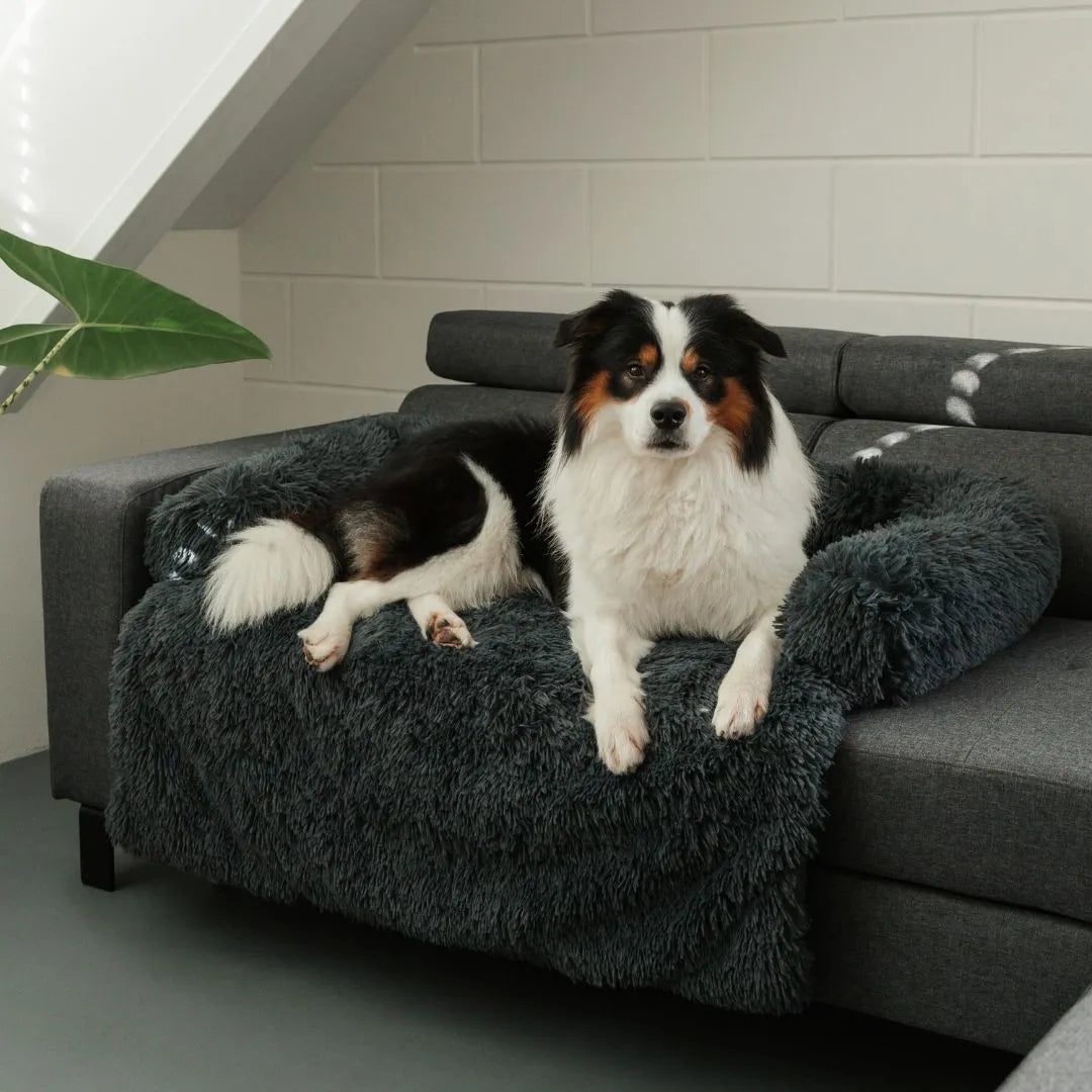 MrFluffyFriend - La Meilleure Housse De Canapé Pour Chiens
