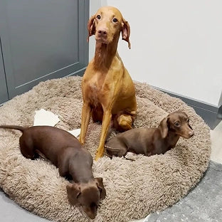 Scr 20250606 hrkf mff 4458e7ab 9cea 41db 81f7 47056dc9c585