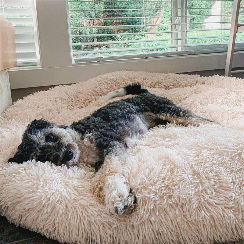 MrFluffyFriend - Lit Pour Chien Haut De Gamme