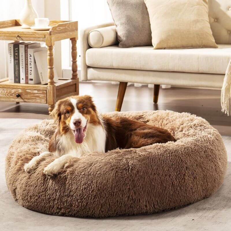 MrFluffyFriend - Lit Pour Chien Marron