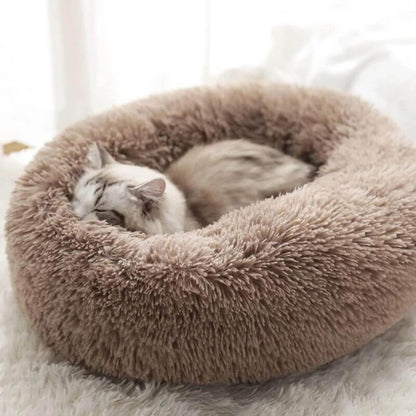 MrFluffyFriend - Le Meilleur Lit Thérapeutique Pour Chat