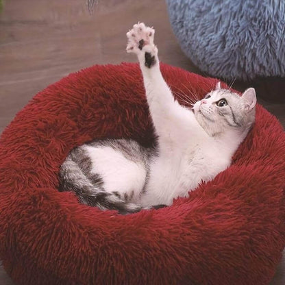 MrFluffyFriend - Le Meilleur Lit Thérapeutique Pour Chat