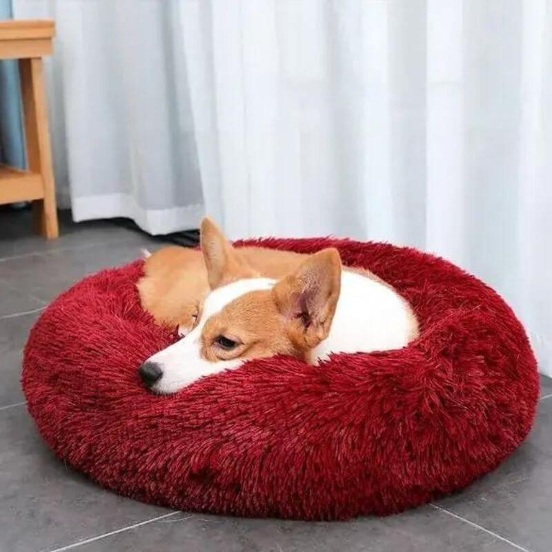 MrFluffyFriend - Lit Pour Chien Rouge